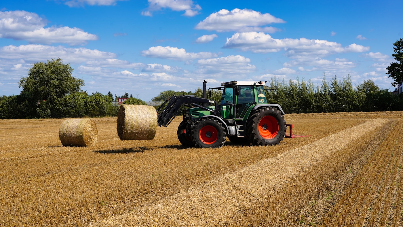 حصاد أعلاف وحزم تبن في حقل — صورة توضيحية